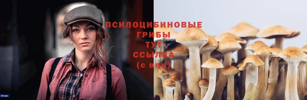 мдпв Елизово