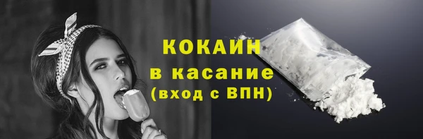 мдпв Елизово