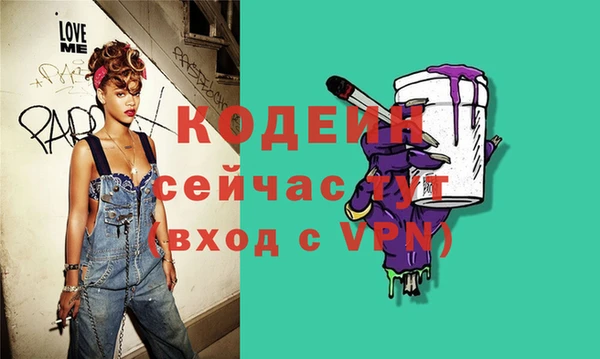 мдпв Елизово