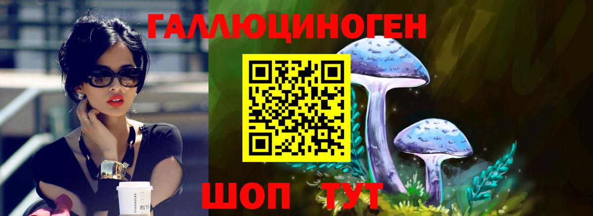 Галлюциногенные грибы мицелий Зеленогорск