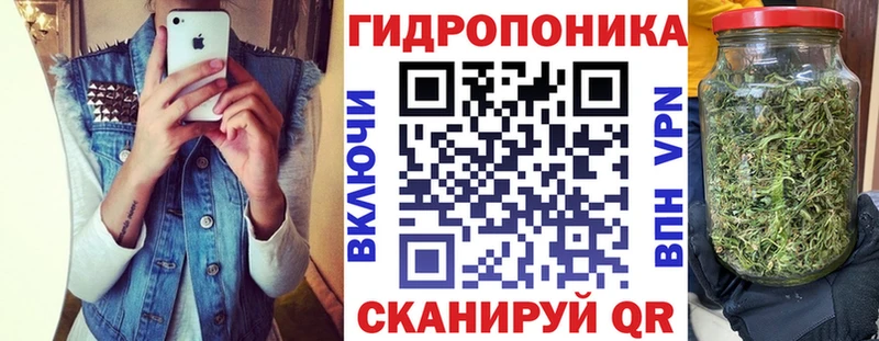 Бошки Шишки SATIVA & INDICA  цена наркотик  Зеленогорск 